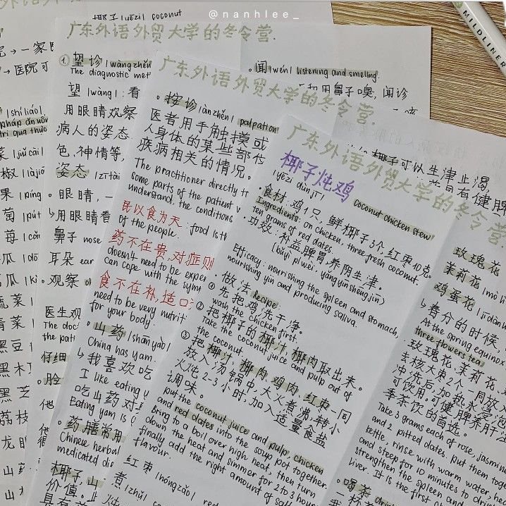 Handwritten Chinese language notes for learning Chinese