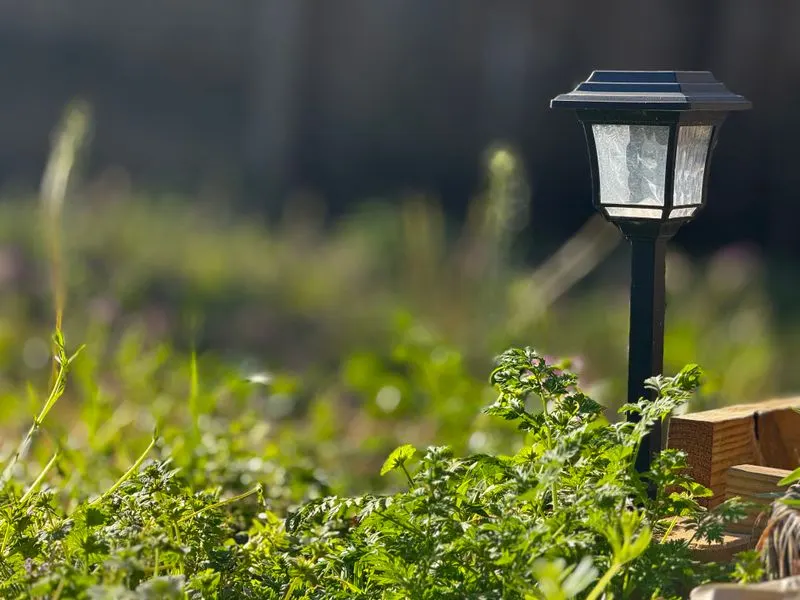 Outdoor solar lamp in a garden